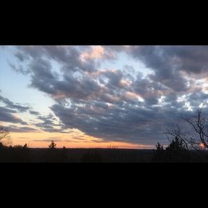 Meet your Posher, Kendall